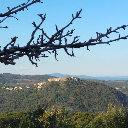Borgo Tepolini Bed & Breakfast Castel del Piano (Tuscany)