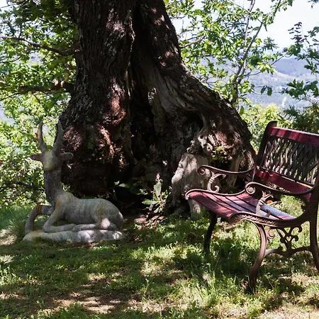 Borgo Tepolini Castel del Piano (Tuscany)