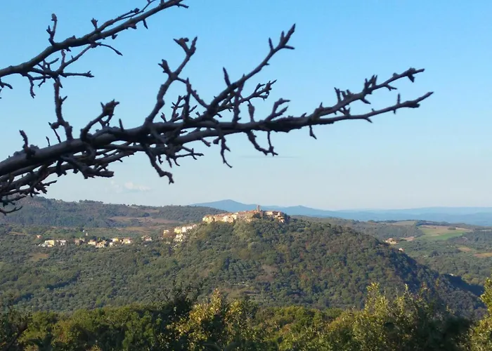 Borgo Tepolini Bed and breakfast Castel del Piano (Tuscany)