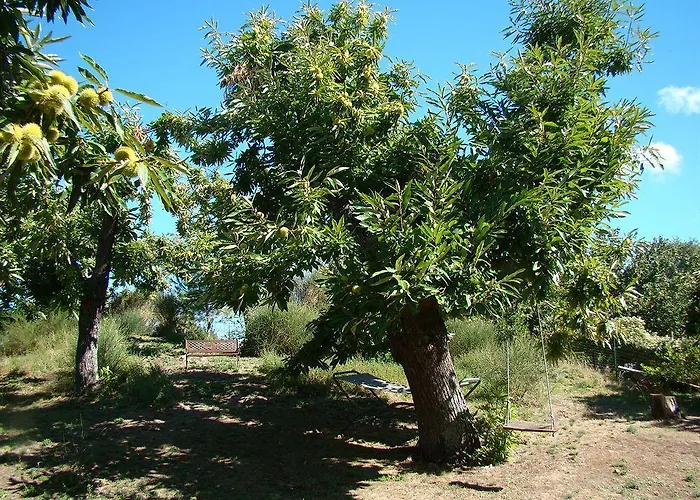 Bed and breakfast Borgo Tepolini Castel del Piano (Tuscany)